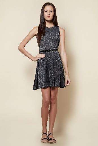 Zudio Skater Dress : New Years Part Wear