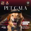 2 Good Weekender - Pet Gala at Jio World Drive