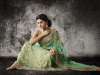 Jashn sheer green saree